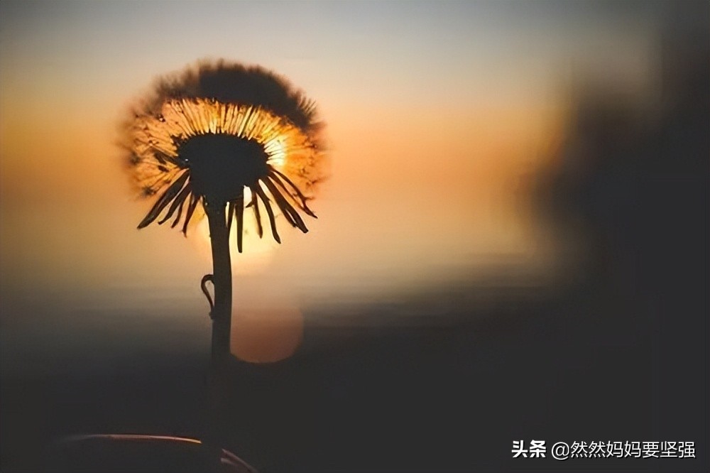 31岁宝妈回归职场 (全职宝妈辞职一年后回到职场)