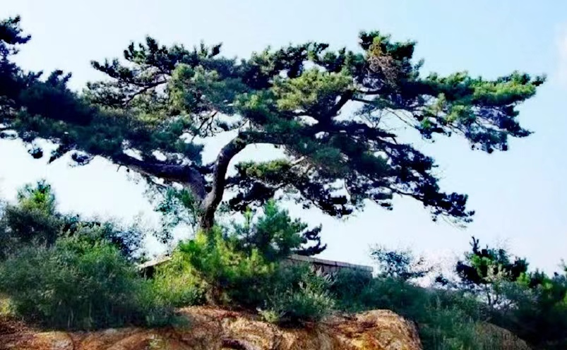 天津必玩十大景点排行榜最新,天津必玩的十大景点排行榜