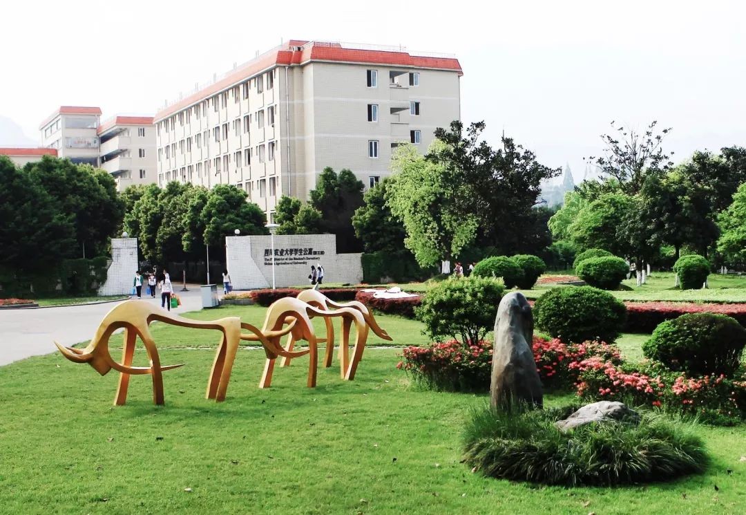 四川各个高校占地面积,四川省占地最大前十的大学