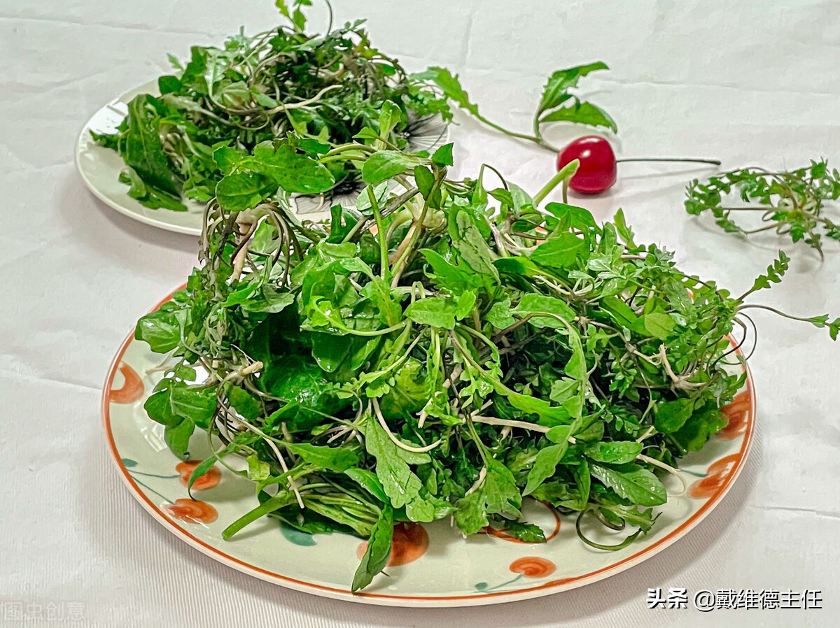 甲状腺结节喝中药可以吃香菇吗,甲状腺结节能吃香菇平菇菜吗