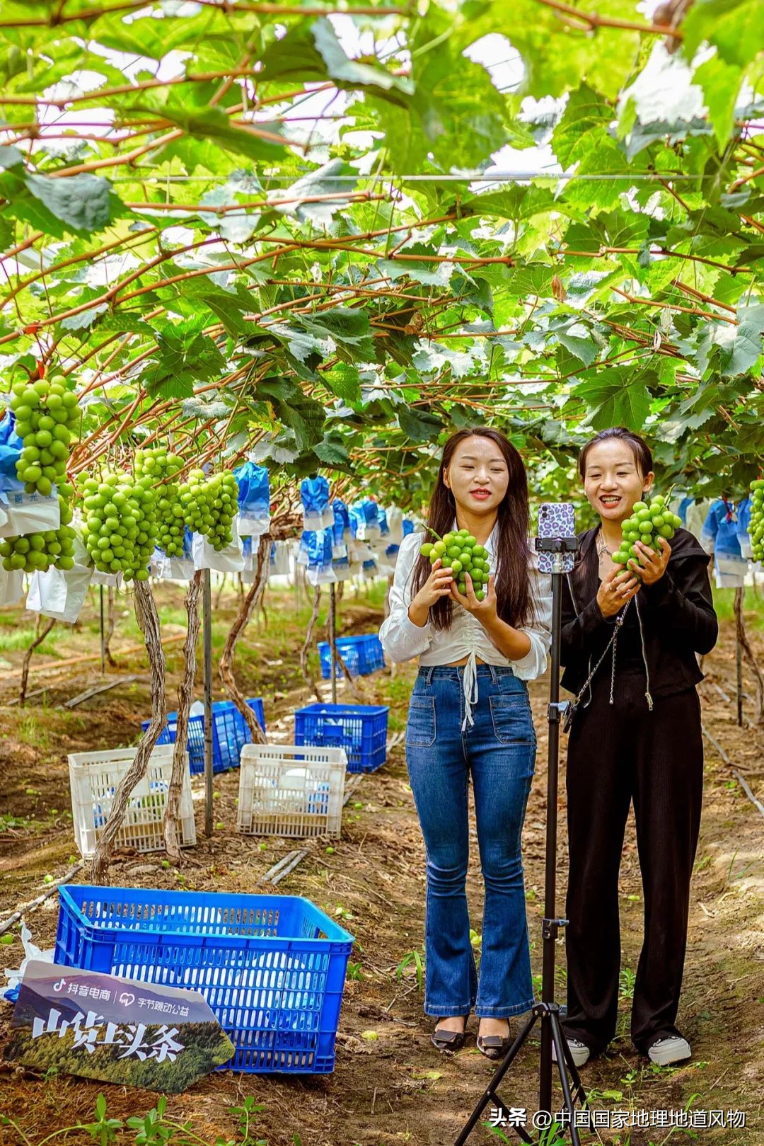 大山深处有哪些秘密,大山里的秘密是哪里的