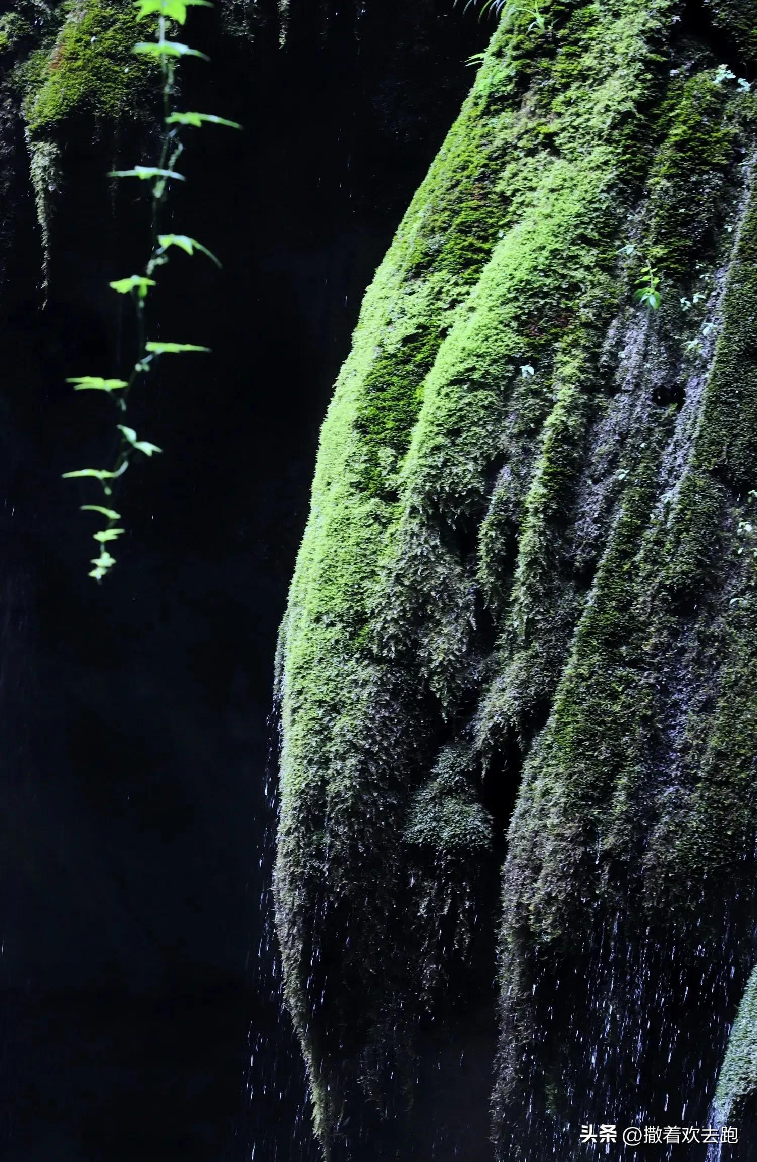 58天川云贵湖自驾游第27站:宜昌三峡人家(本次旅行最后一站)