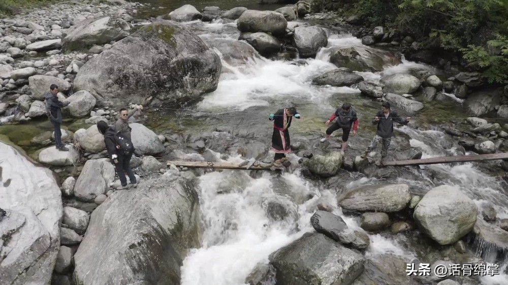 六五环境日关爱自然图片,六五环境日是什么