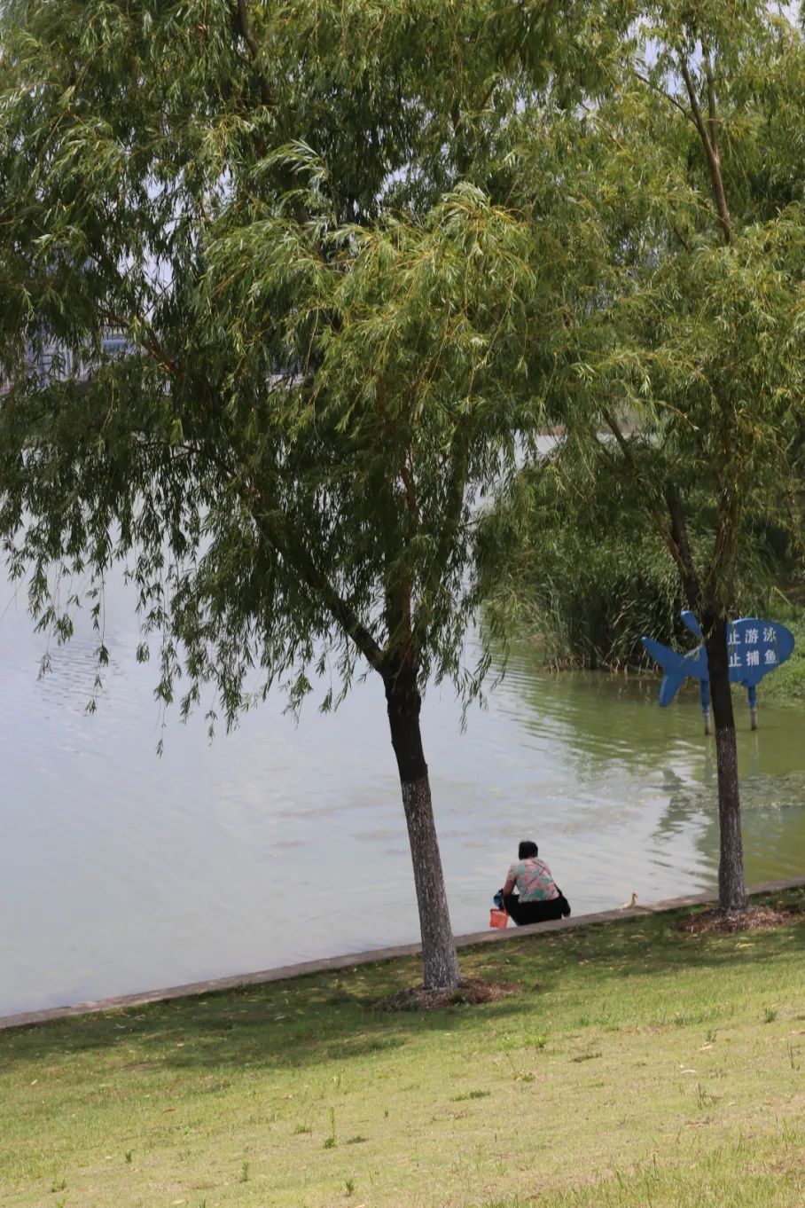 合肥滨湖新区历史房价涨幅,合肥涨幅最高的区域