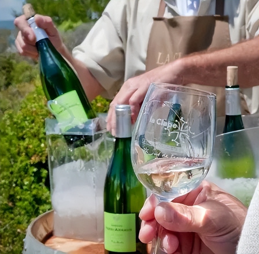 法国南部蒙彼利埃城,法国蒙彼利埃城市怎么样