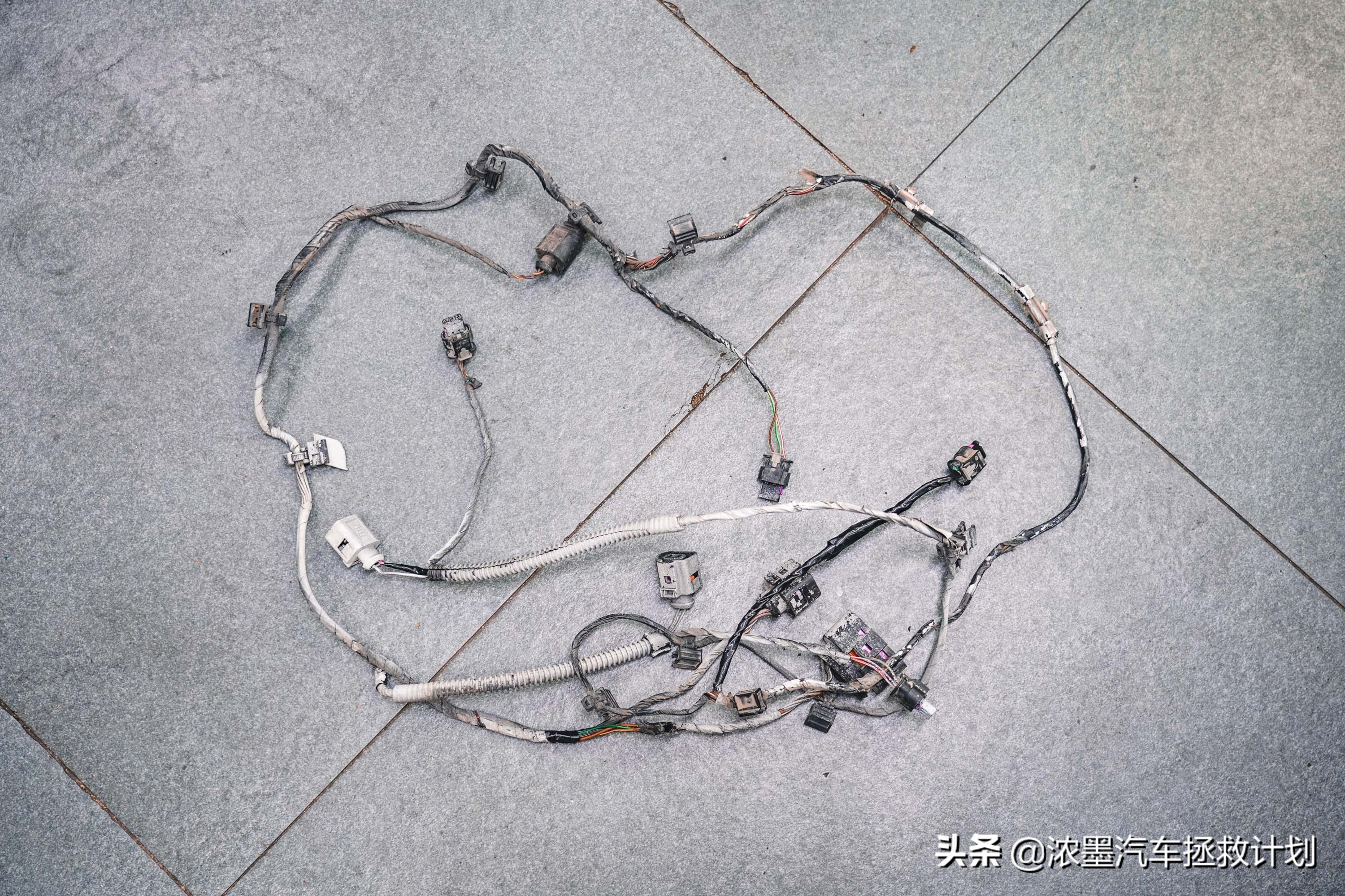 完美复活全集完整版,最新款大众r36