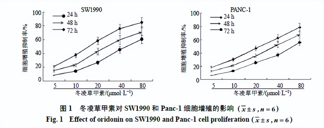 最新发现！冬凌草甲素为胰腺癌的预防提供了新的治疗方法