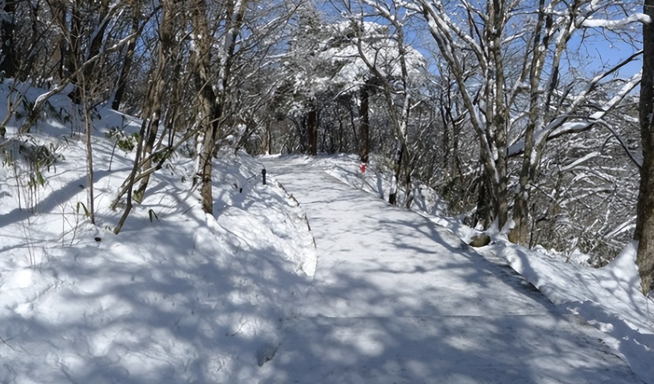内蒙好司机王占奎：雪夜救老头，获赠小泥球，36年后发现价值2亿