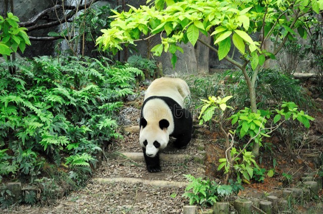 学习强国：8月24日，又上新46题（34∽80）