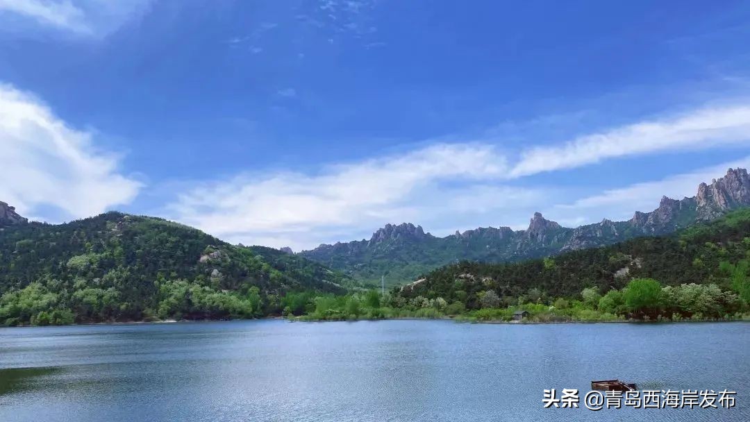 青岛冬天动物园野生动物世界,青岛野生森林动物园旅游攻略