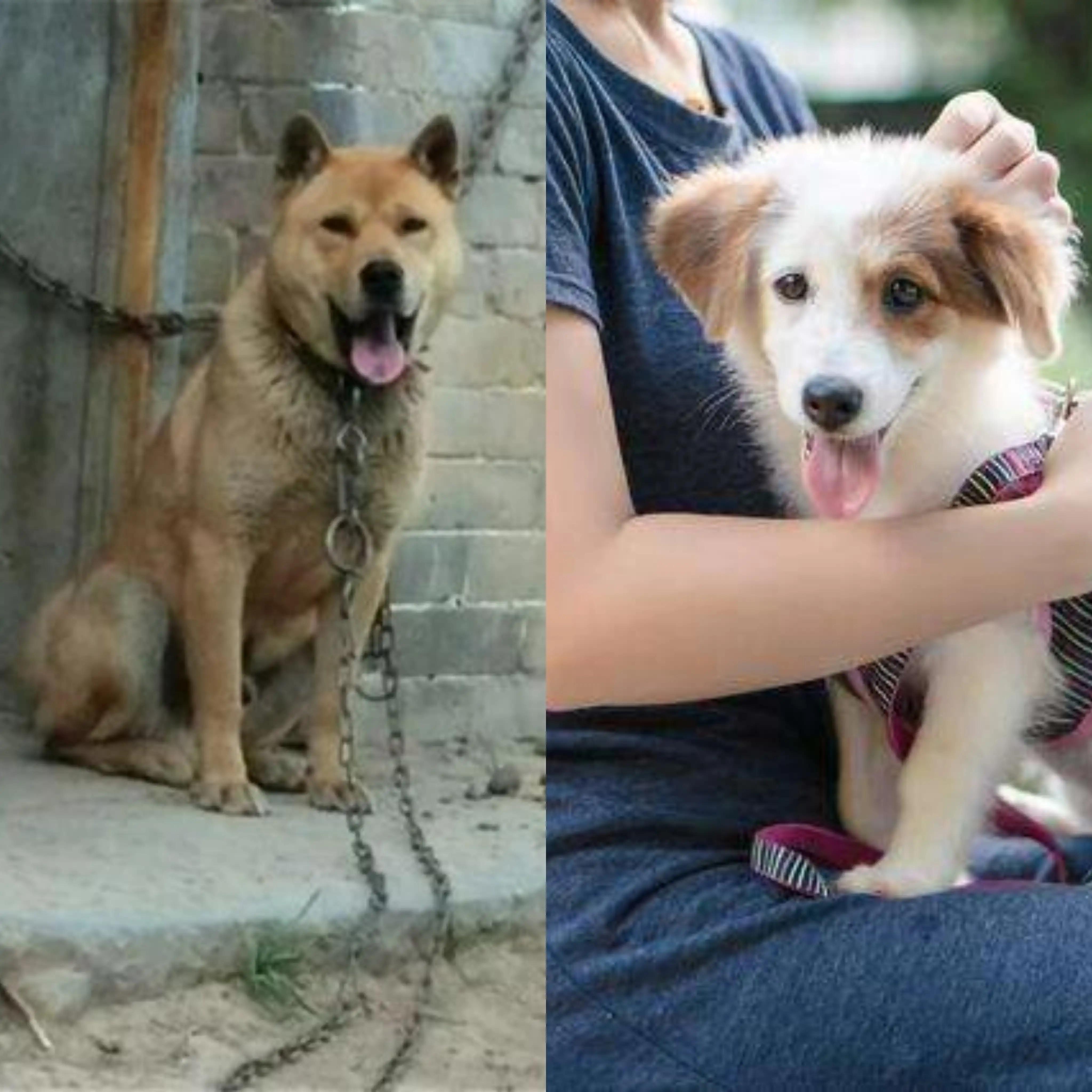 我亲身经历的社会事件作文,社会经历和感悟