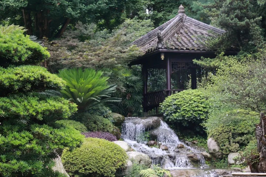 拿走不谢！这份都江堰“懒人版”旅游攻略，不爬山、不扎堆，还能打卡明星同款，赶快行动吧~