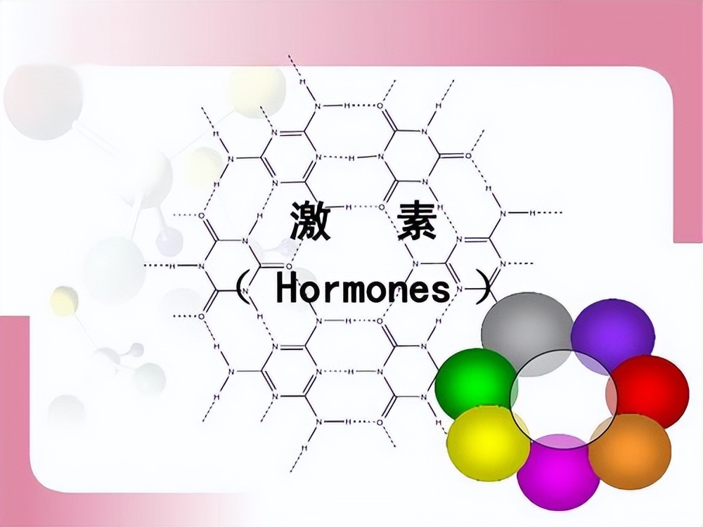 人到中年为什么会发胖怎么减下来,人到中年如何阻止发胖