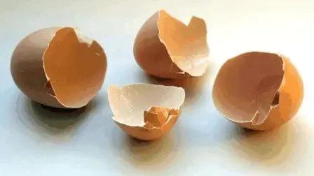 人造鸡蛋和真鸡蛋的区别在哪里,网上出现人造鸡蛋说法是否属实