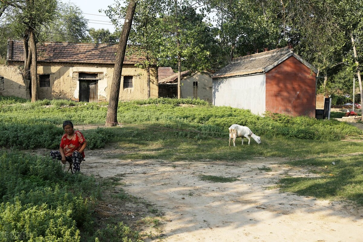 安置房拆迁户口迁入能不能补偿,户口不在拆迁地可以得到安置吗