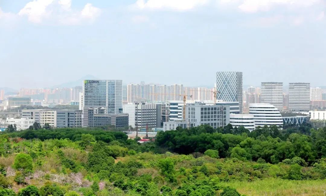 深圳坪山2022年gdp增长率,坪山区地区生产总值增长