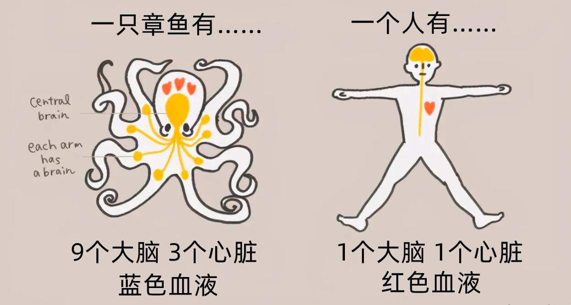三千公里直径却有比地球更大海洋，欧罗巴一号看到的生物是真的？