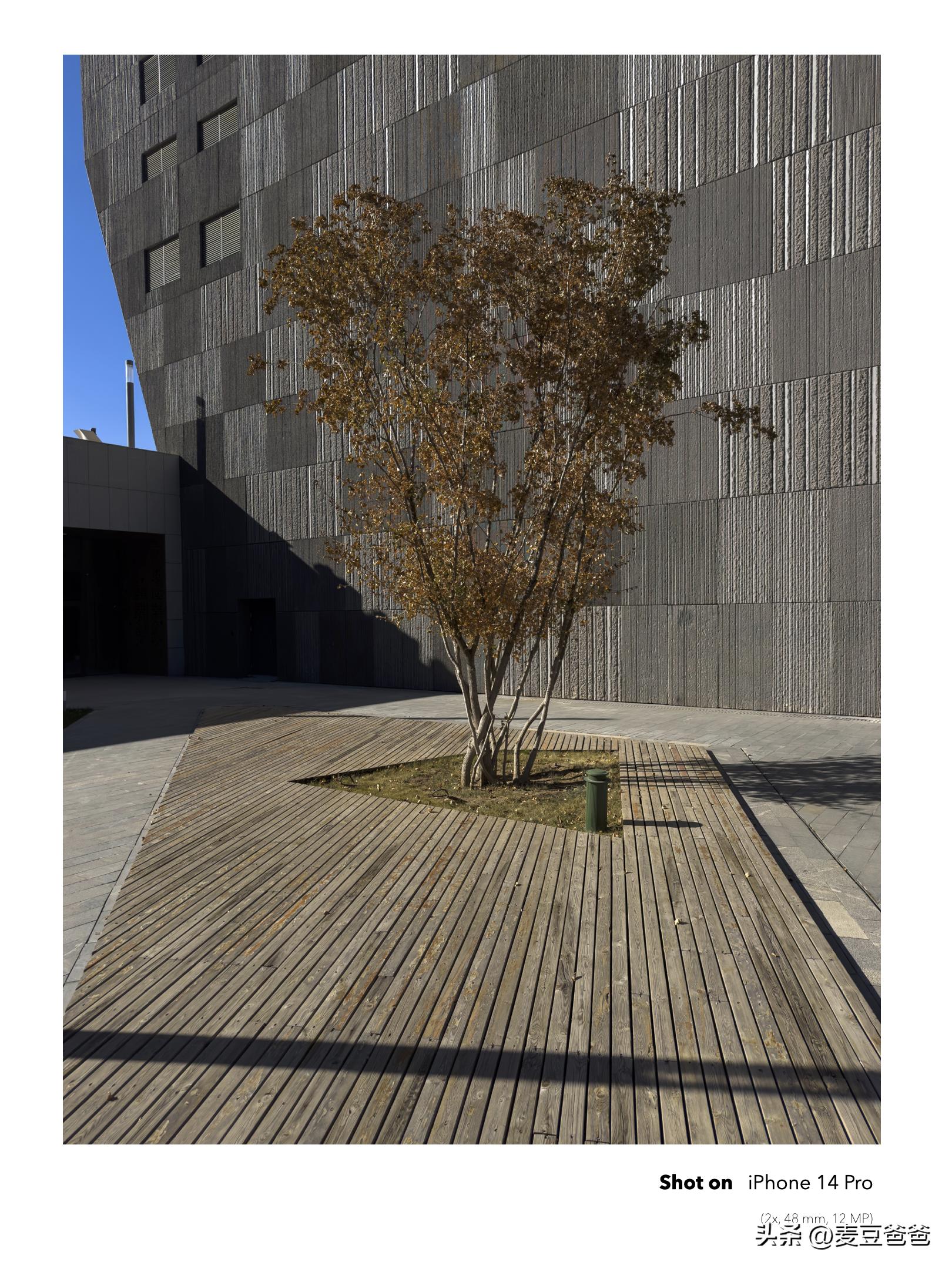 如何利用苹果14手机拍高清图片,iphone14如何拍出好看照片