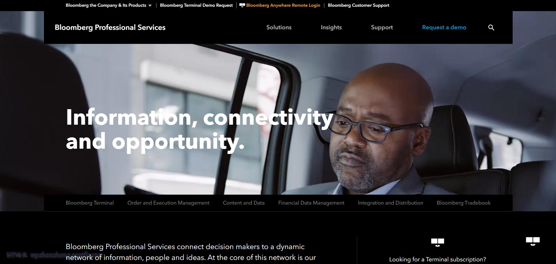 wordpress缃戠珯妗堜緥,wordpress钁楀悕妗堜緥