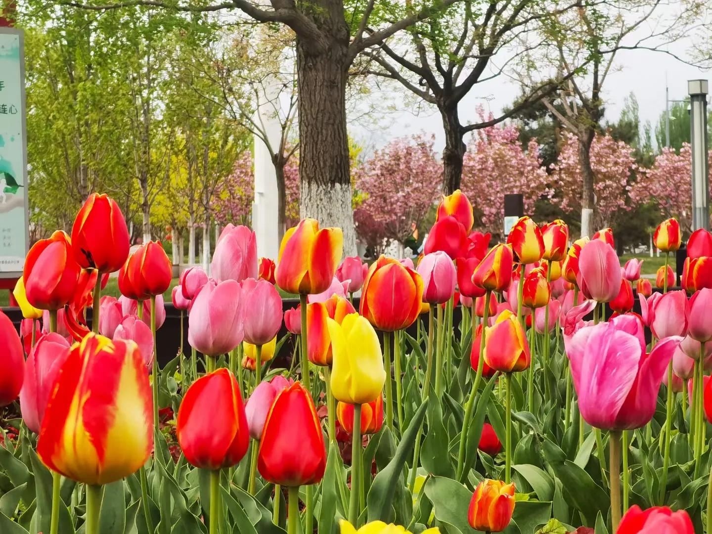 小孩的成长环境对孩子的影响,生活和学习环境影响孩子成长成语