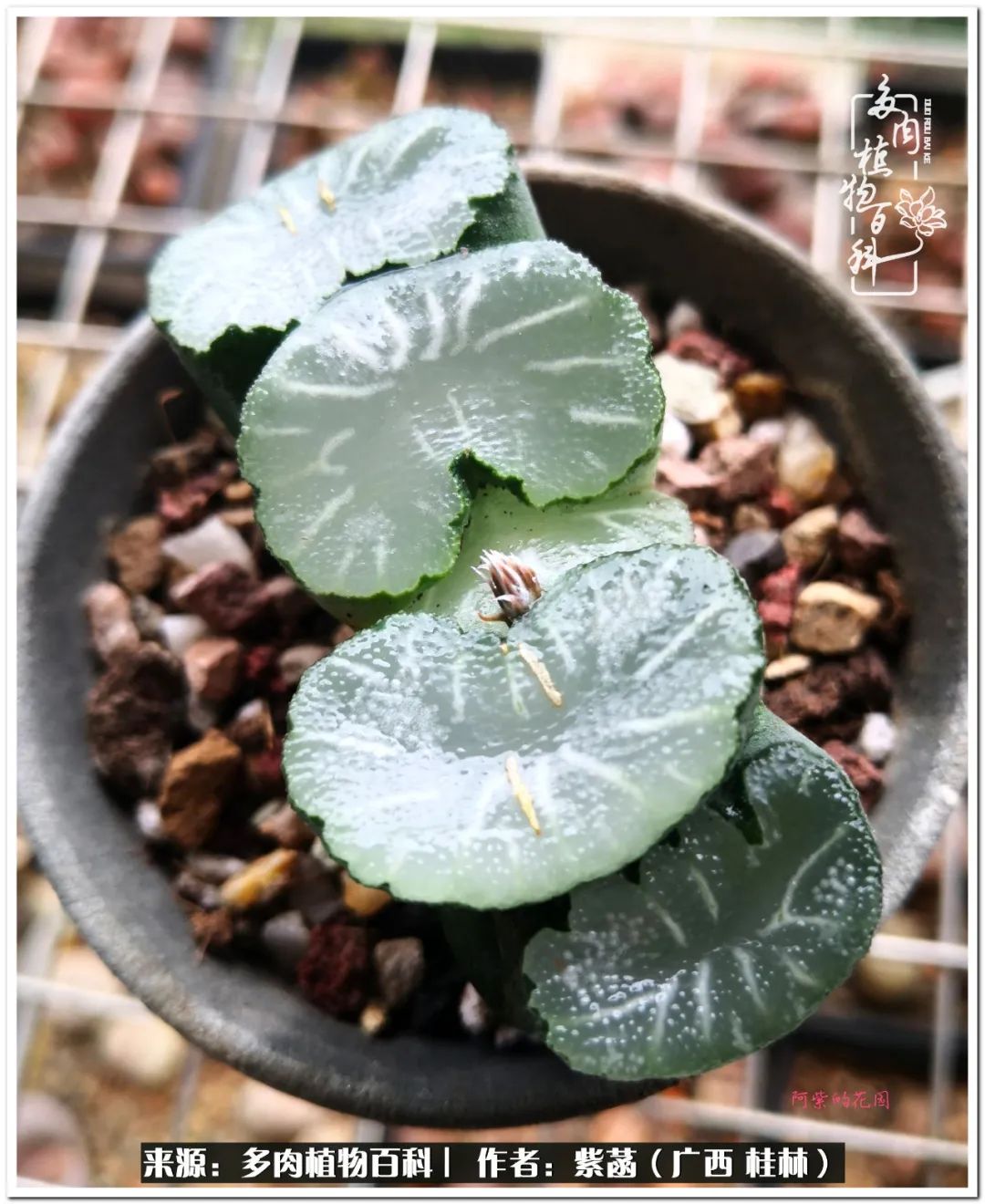 酷暑里的关爱，如十二卷般透亮绵长