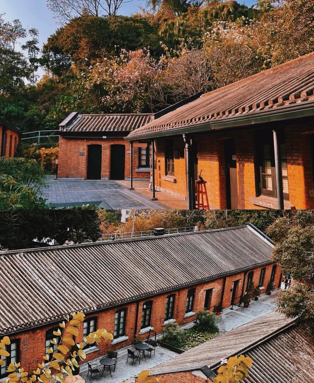 香港哪些地方值得打卡,香港必打卡的地方适合年轻人