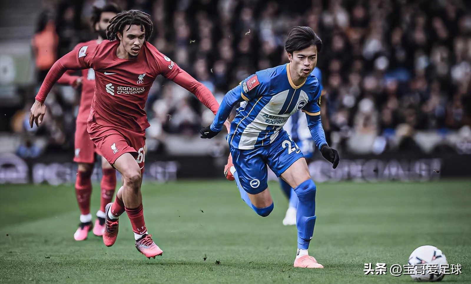 三笘熏踩着阿诺德成名,三度打爆利物浦太子,“三球王”名副其实