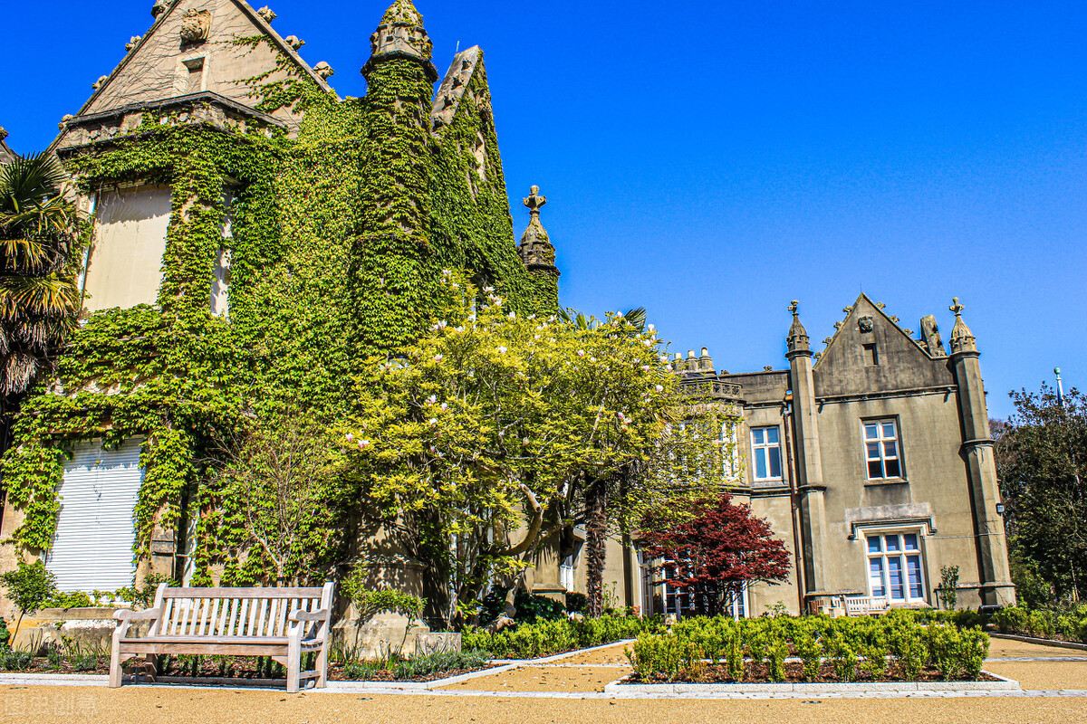 英国院校,英国斯旺西大学合作院校