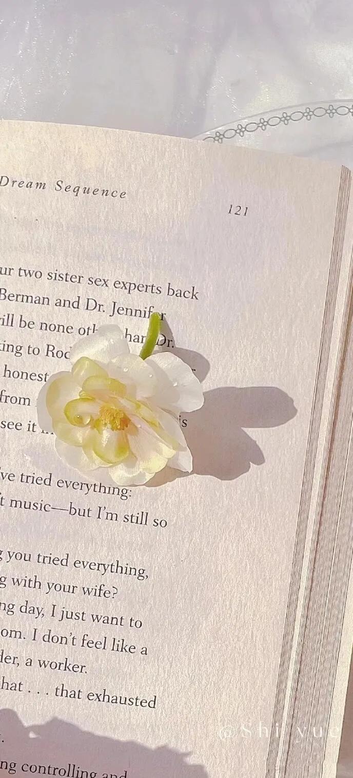 上班励志高清壁纸4k全屏电脑壁纸,黑鲨壁纸动态壁纸高清全屏90帧