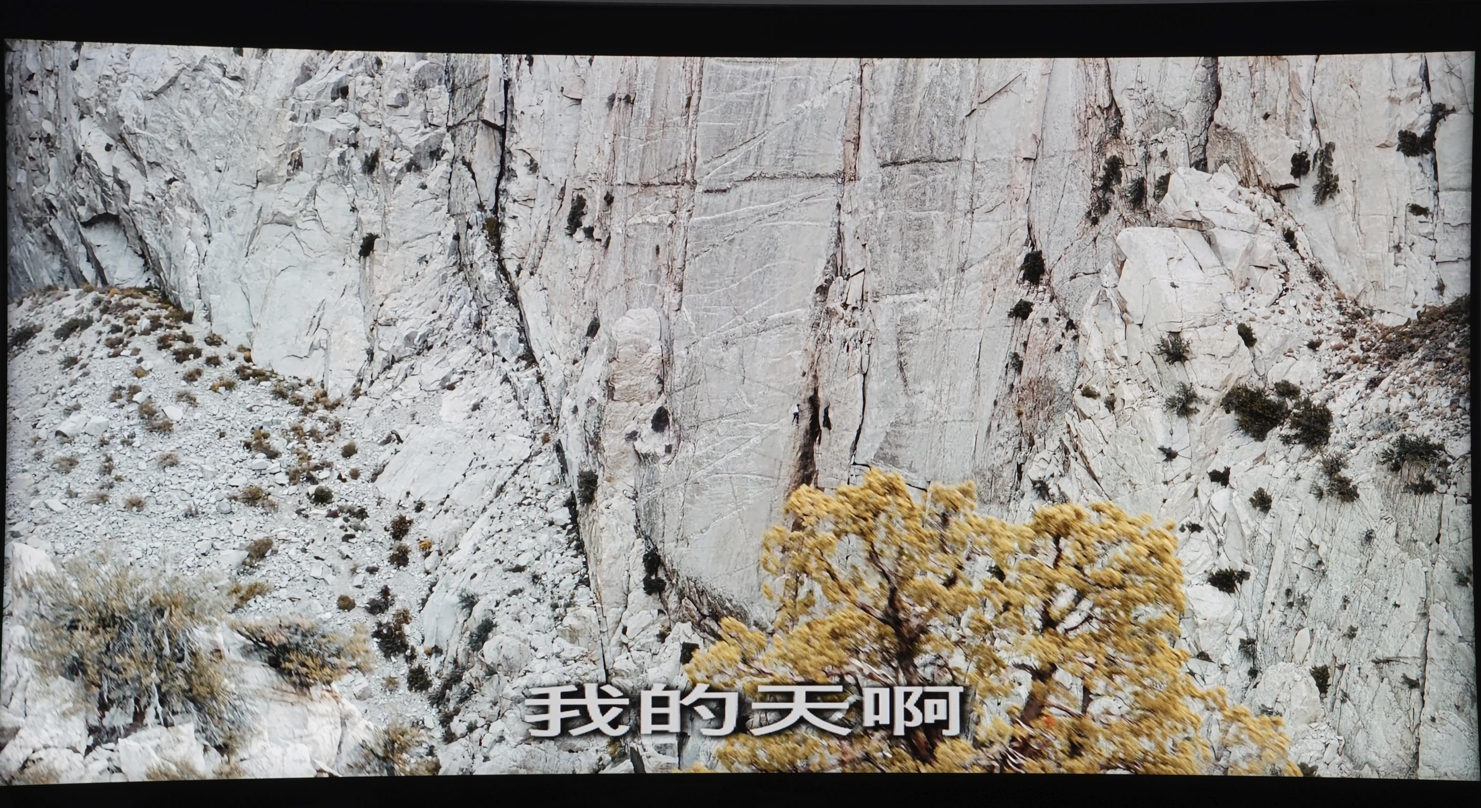 聊聊电视本地*放播**能力：视频*放播**哪家强？这几个品牌更有优势