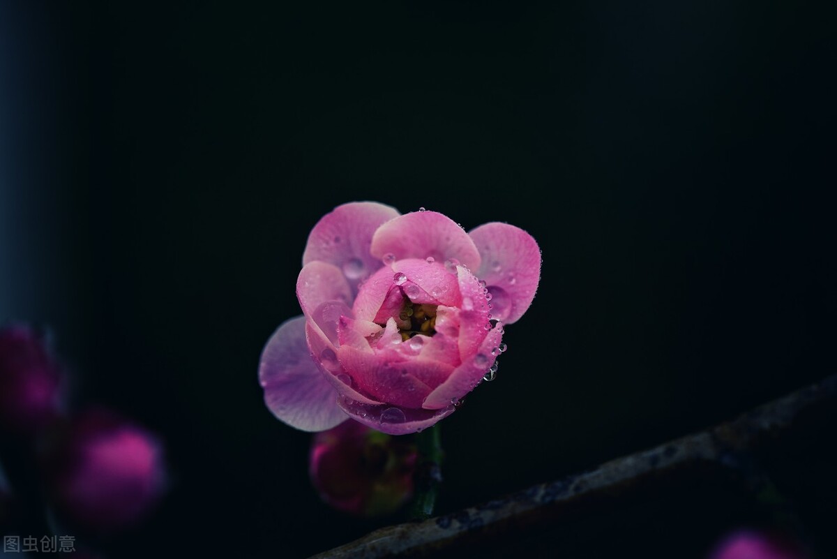 自己得了妇科炎症是老公出轨了吗,老婆有妇科炎症老公被传染了