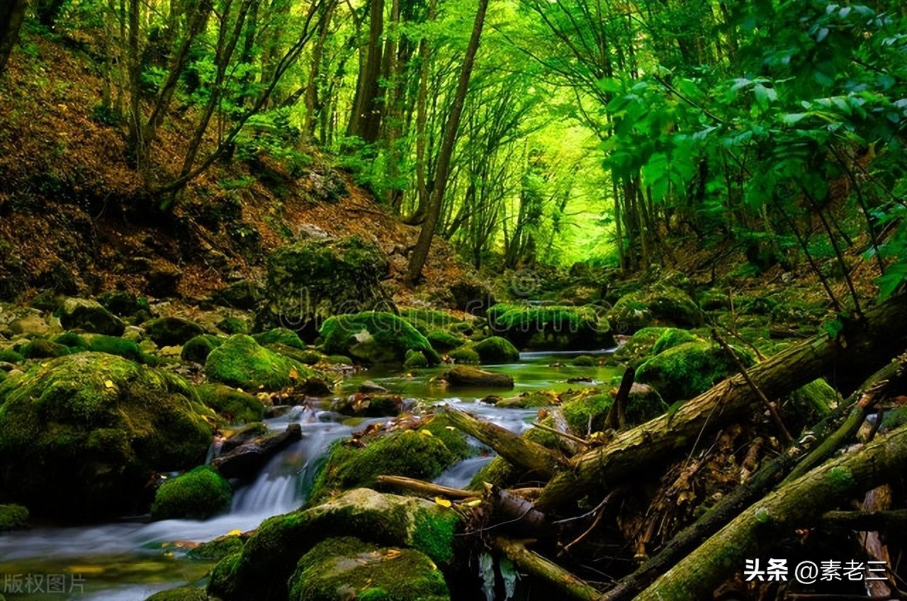 女作家去做保姆740集,女作家去做保姆最新篇418