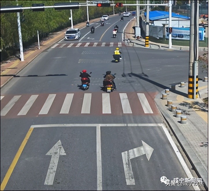 车牌被曝光,车牌被曝光名单