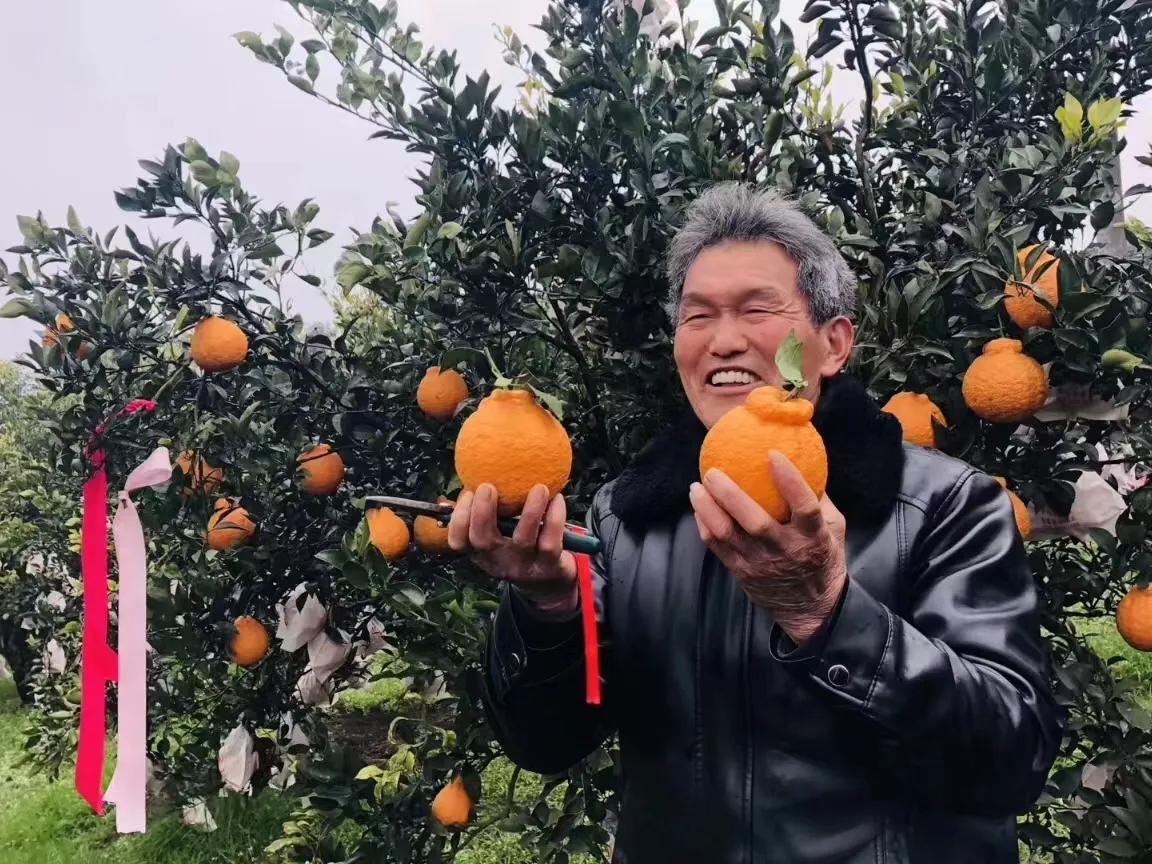 小白没货源怎么开团卖货,新手无货源带货要和团长合作吗