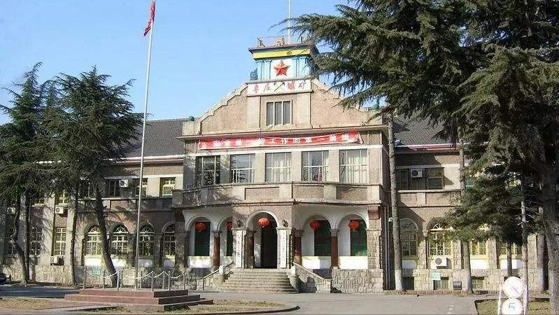 山东日照和枣庄哪个发达,日照综合实力