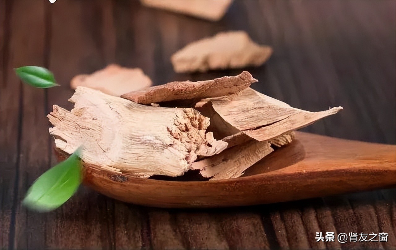 雷公藤多甙片治疗iga肾病,雷公藤多苷是治肾病还是伤肾