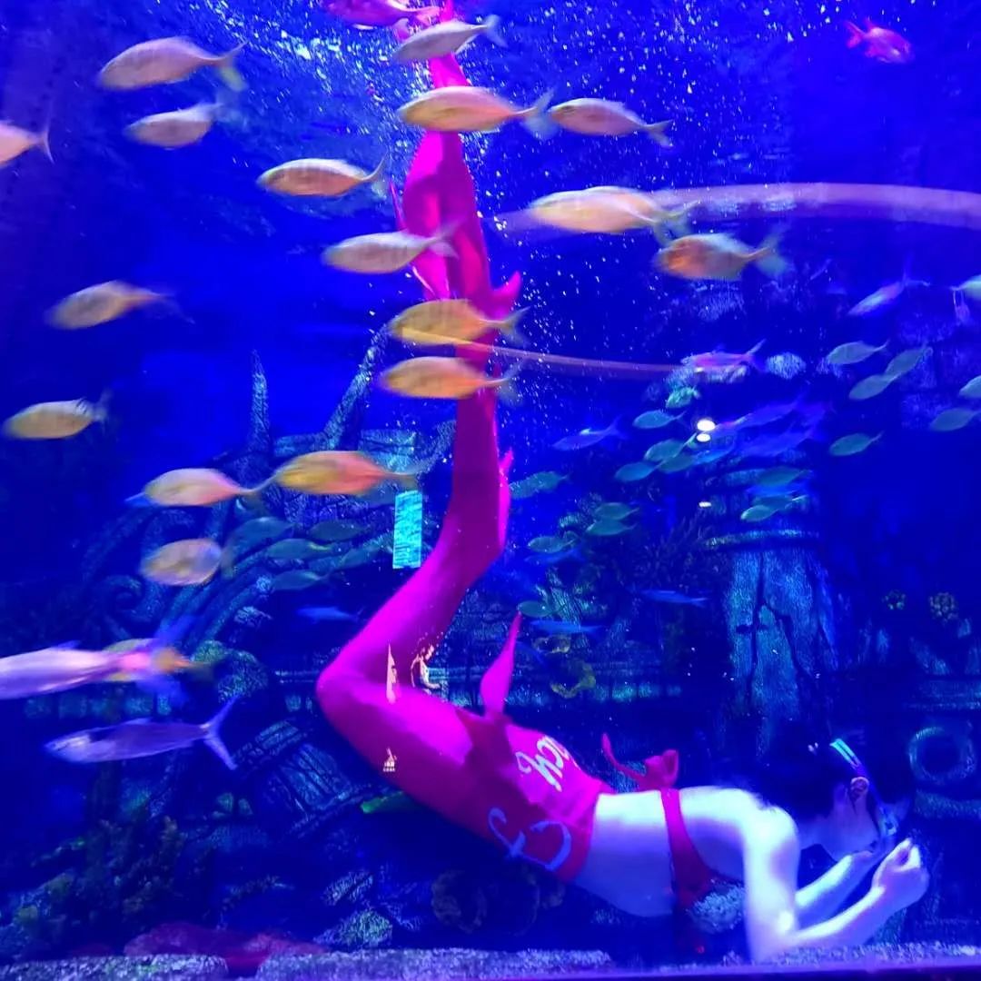 治愈你的冬日emo时刻，在四海唐人街积分当钱花的快乐你值得拥有