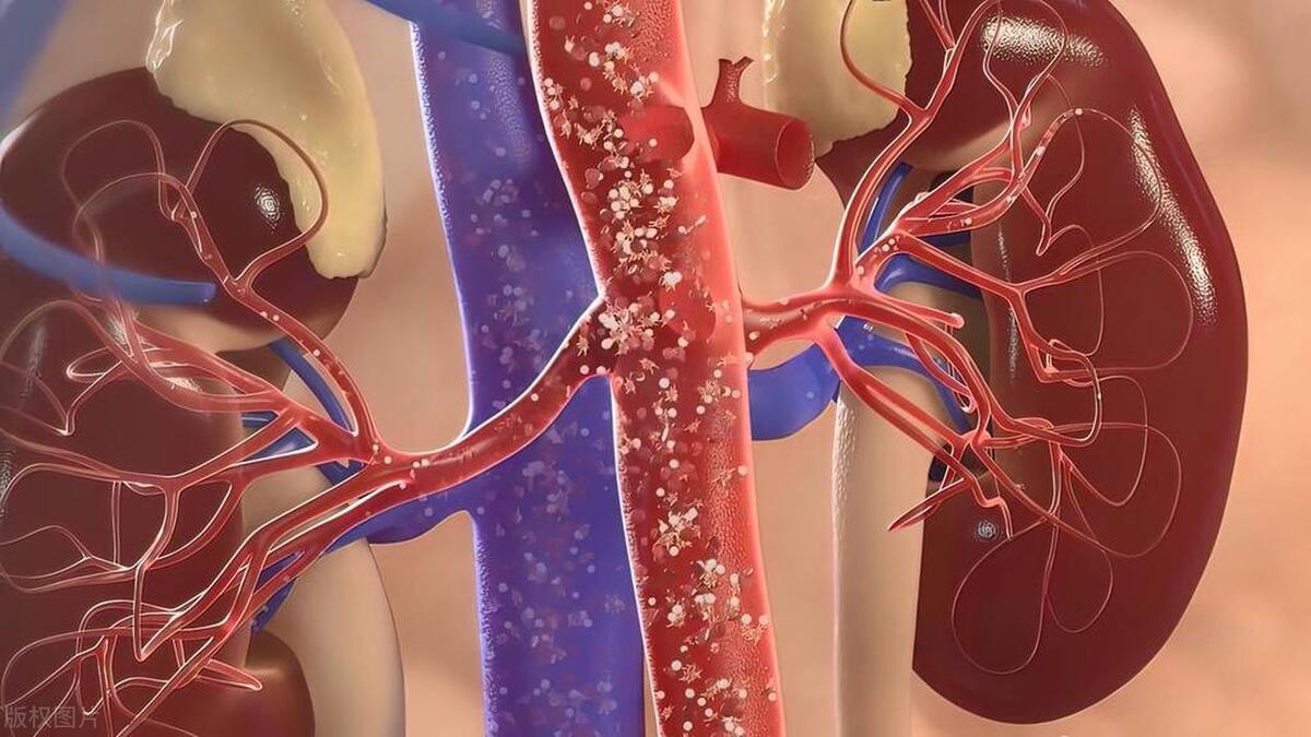 男朋友老说我身上有体香,男友身上有老人味