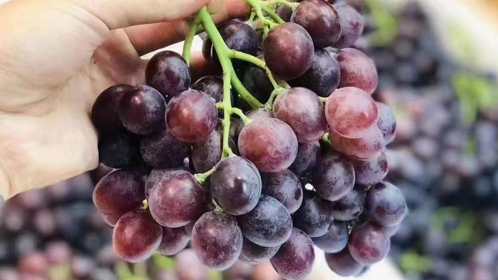 开水果店加盟还是不加盟好,开水果店有加盟店能教你什么