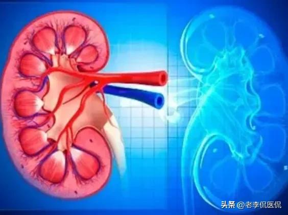 肾气足百病除,肾气足百病除下一句