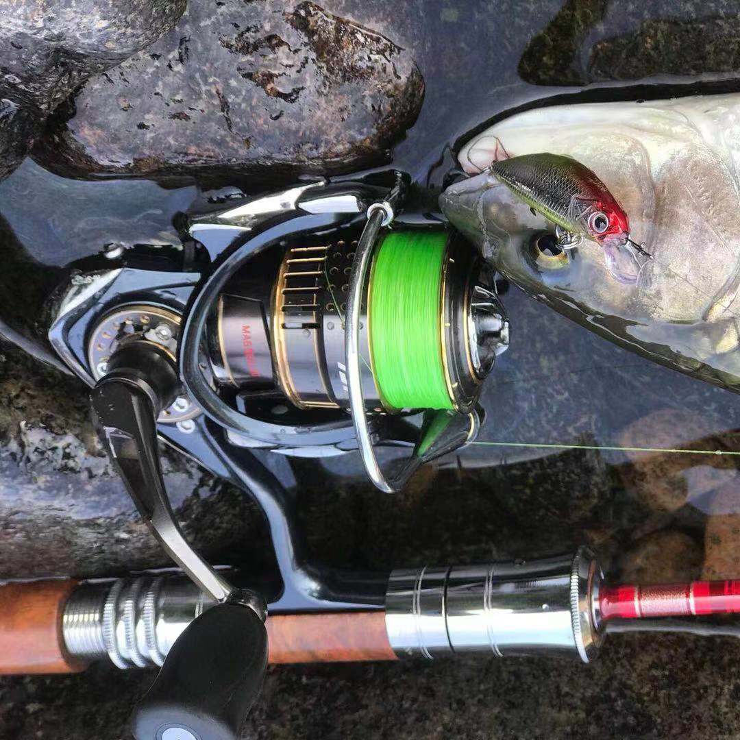 路亚钓鱼入门,路亚进阶钓竿