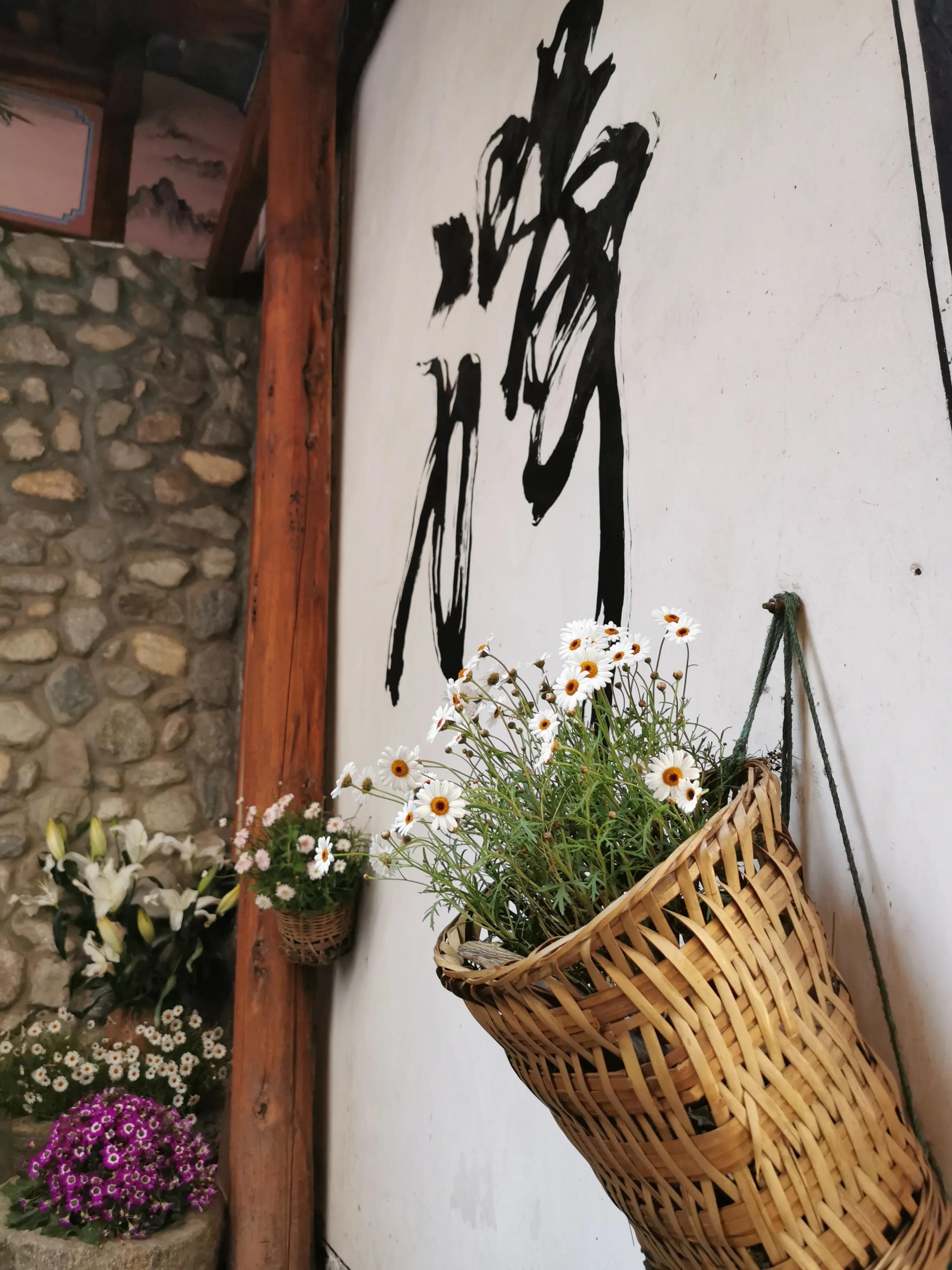 华为手机鸿蒙系统相机,华为手机鸿蒙系统拍照重启问题