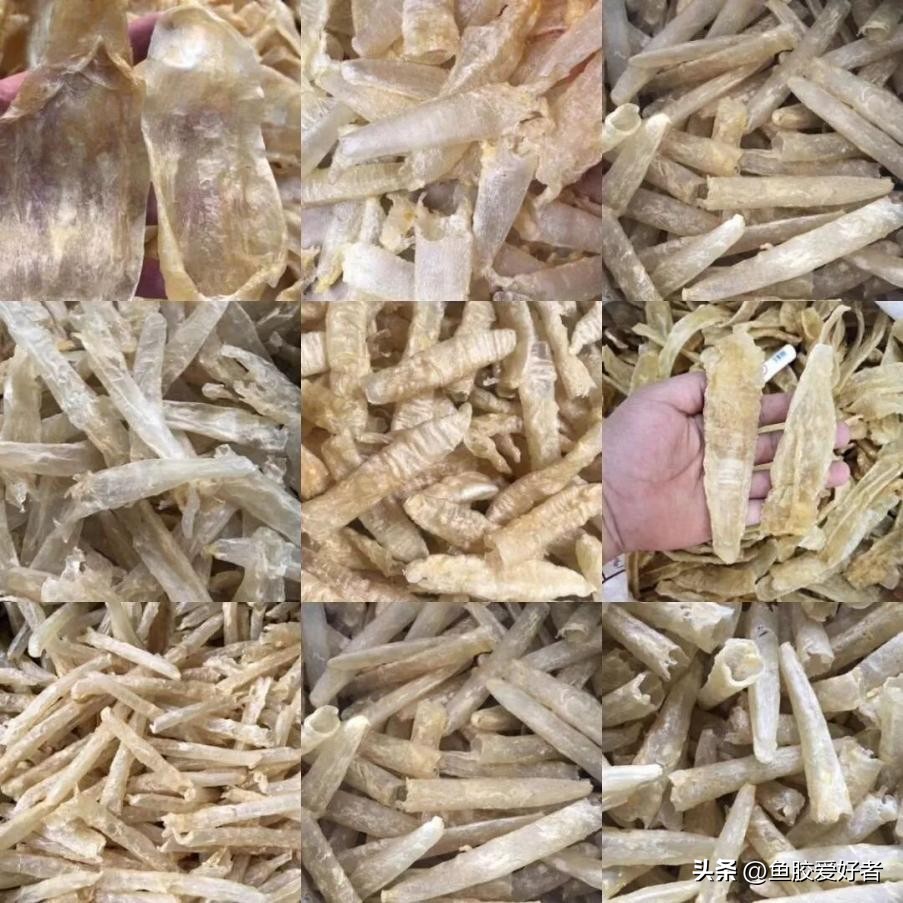 贵的鱼胶和便宜的鱼胶效果区别,什么鱼胶最便宜又好用