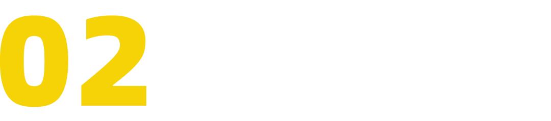 patagonia的总裁,patagonia设计师