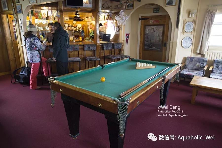 我在南极养企鹅,我在南极的日子