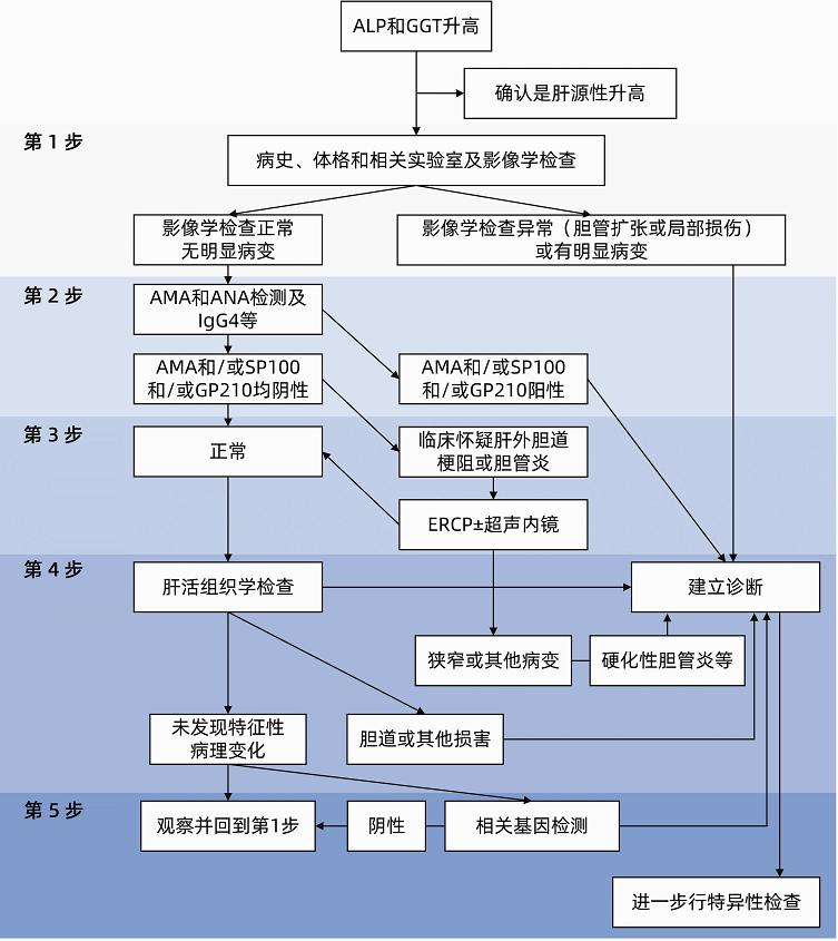 黄疸遗传代谢性疾病,遗传代谢性黄疸怎么治疗