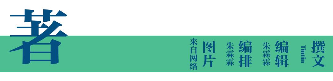 腥味比较淡的花胶,花胶的秘密