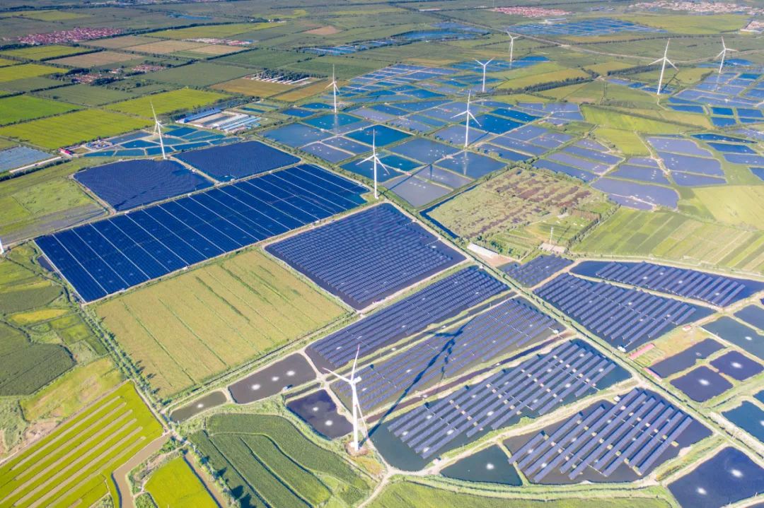 深度｜通威四十不惑：从胜利走向胜利