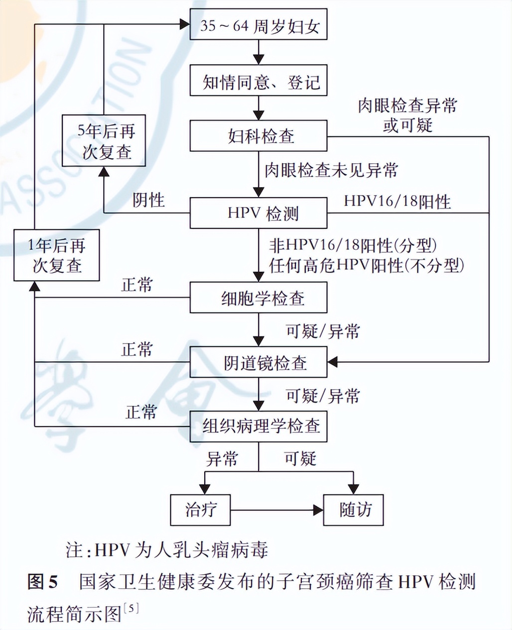 HPVDNA检测应用于健康体检人群子宫颈癌初筛的专家共识