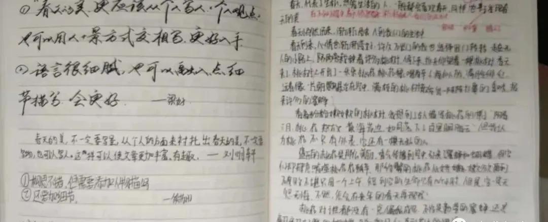 萍老师带你走进——作文修改盛宴